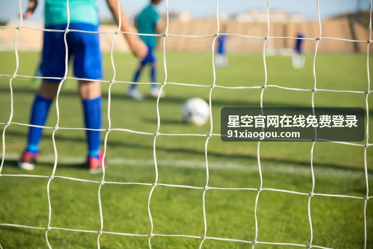 星空官网在线免费登录活动嘉宾组织协作分享场景