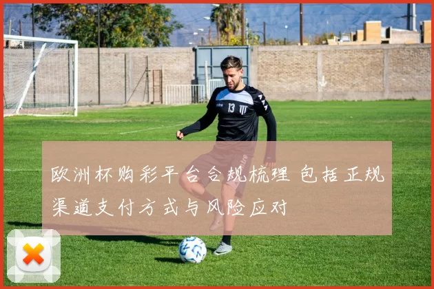 欧洲杯购彩平台合规梳理 包括正规渠道支付方式与风险应对